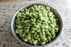 Broad Beans 3